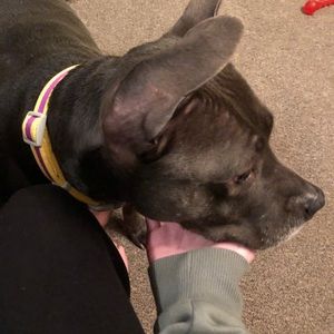 Meet your Posher, Zoraida